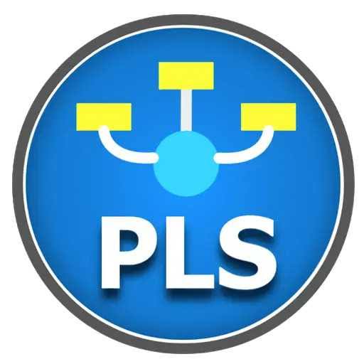 SmartPLS Professional 4.1